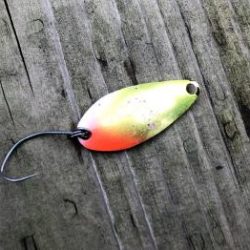 フィッシング サンクチュアリ 釣果