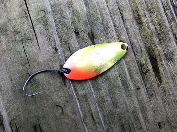 フィッシング サンクチュアリ 釣果