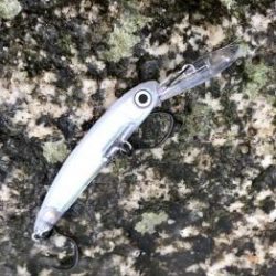 フィッシング サンクチュアリ 釣果