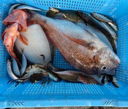 明神釣船 釣果