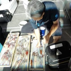 第二大福丸 釣果