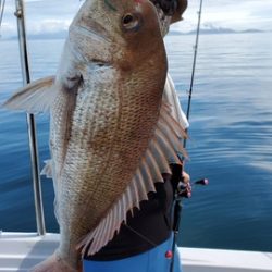 遊漁船 ニライカナイ 釣果