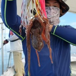 遊漁船　ニライカナイ 釣果