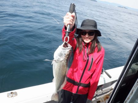 遊漁船 遊友 釣果