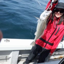 遊漁船 遊友 釣果