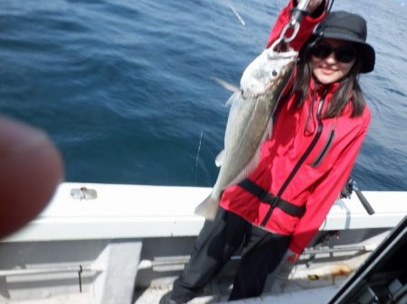 遊漁船 遊友 釣果