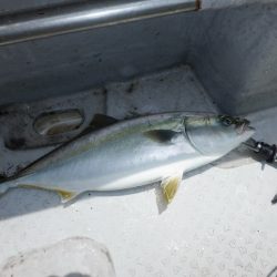 遊漁船 遊友 釣果