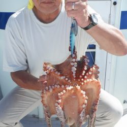 遊漁船 遊友 釣果