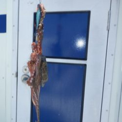 遊漁船 遊友 釣果