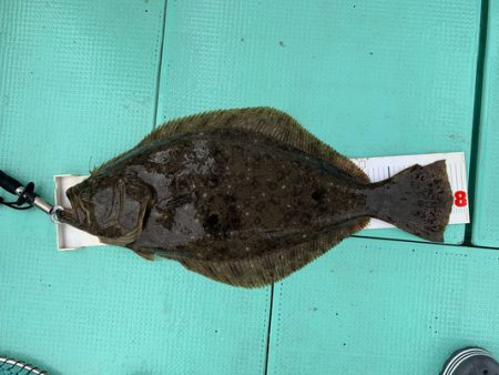 さんさん丸 釣果