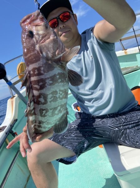 シードリーム 釣果