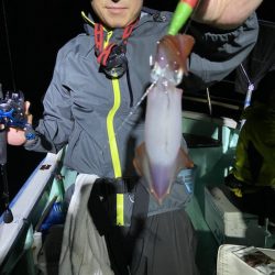 シードリーム 釣果