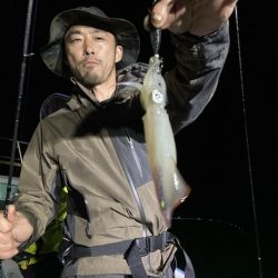 シードリーム 釣果