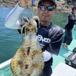 シードリーム 釣果