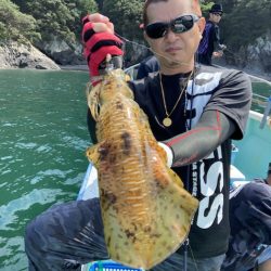 シードリーム 釣果