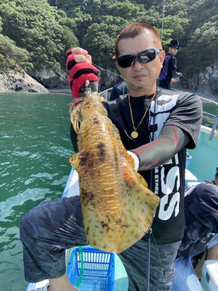 シードリーム 釣果