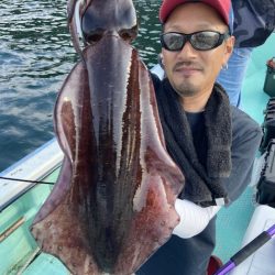 シードリーム 釣果