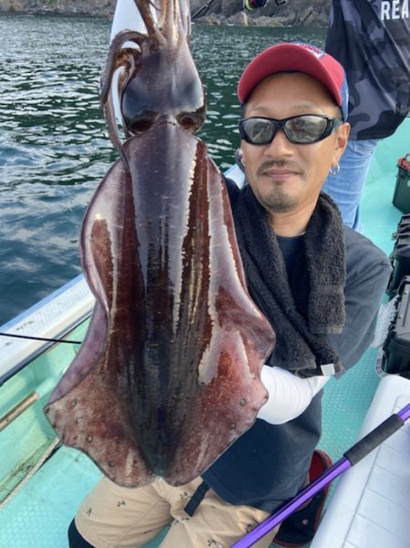 シードリーム 釣果