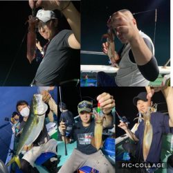 シードリーム 釣果