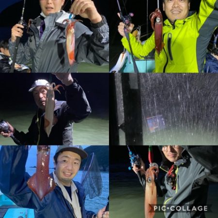 シードリーム 釣果