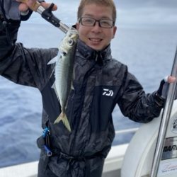 シーモンキー 釣果