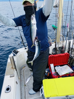 シーモンキー 釣果