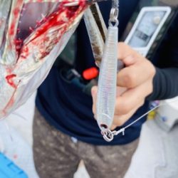 シーモンキー 釣果