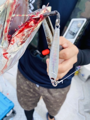 シーモンキー 釣果