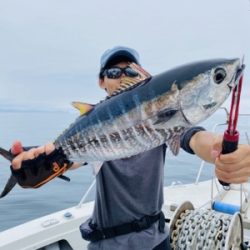 シーモンキー 釣果