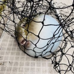 シーモンキー 釣果