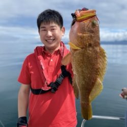 シーモンキー 釣果