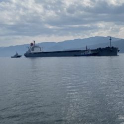 シーモンキー 釣果