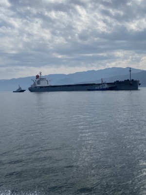 シーモンキー 釣果