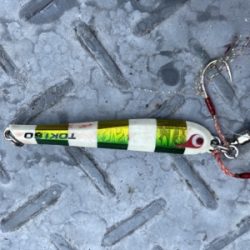 シーモンキー 釣果