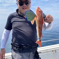 シーモンキー 釣果