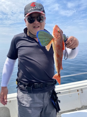 シーモンキー 釣果