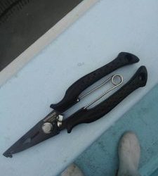 東京湾探釣隊ぼっち 釣果