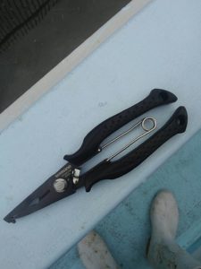 東京湾探釣隊ぼっち 釣果