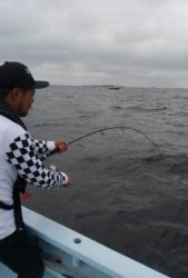 東京湾探釣隊ぼっち 釣果
