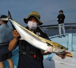 東京湾探釣隊ぼっち 釣果