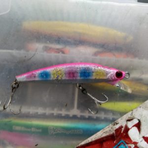 東京湾探釣隊ぼっち 釣果