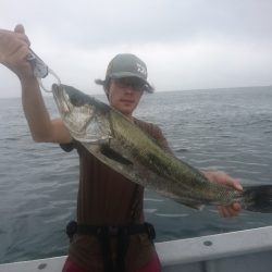 第二明康丸 釣果