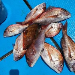 フィッシングガイド りょう 釣果