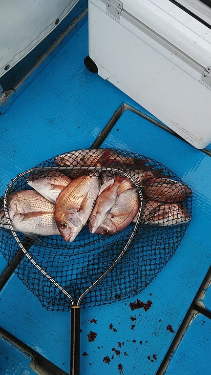 フィッシングガイド りょう 釣果