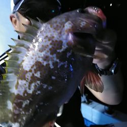 フィッシングガイド りょう 釣果