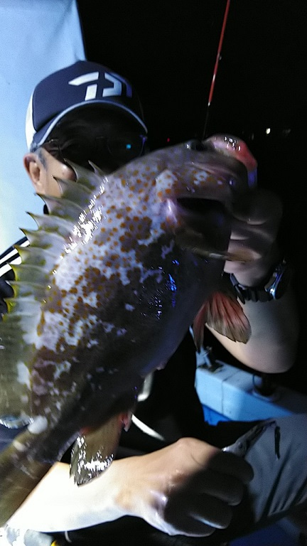 フィッシングガイド りょう 釣果
