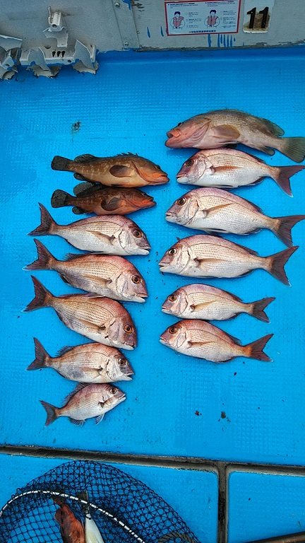 フィッシングガイド りょう 釣果