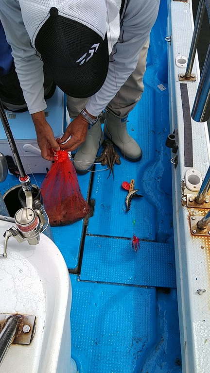 フィッシングガイド りょう 釣果