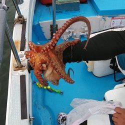 フィッシングガイド りょう 釣果