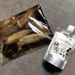 South Current 釣果